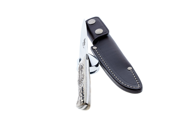 Simón Criollo Medium Knife – Stag Horn Handle