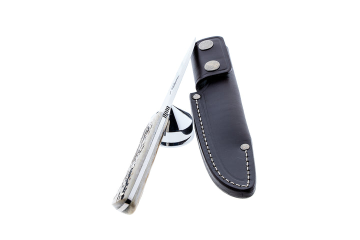 Simón Criollo Medium Knife – Stag Horn Handle